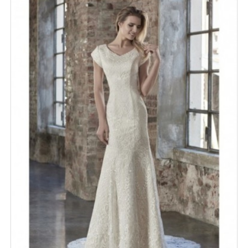 Lot of 25 New Bridal Gowns by Venus Modest Collect